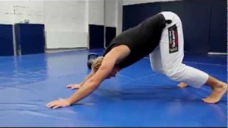 BJJ – Simple Conditioning Workout | Jiu-Jitsu Brotherhood