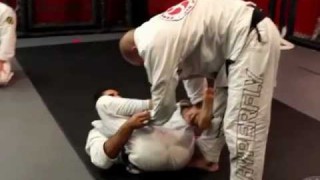 Rolling Session with Xande Ribeiro and Leandro Lo