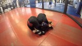The Right Way to Pull Guard in MMA- Introducing The Web Guard