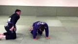 Turtle Sweeps, Reversals, Return to Guard
