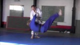 32 Footsweeps for Judo BJJ