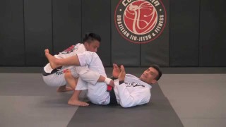 Sweep & Arm Bar From Opponents Miragaia Pass – Cobrinha