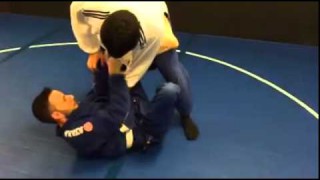 Spider guard sweep