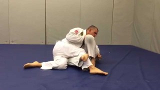 Sweep to Mount From Reverse Half