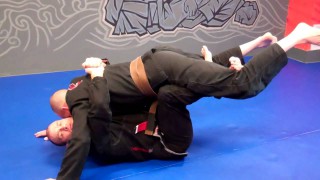 BUTTERFLY GUARD ELEVATION SWEEP RECAP