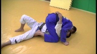 Caio Terra – Butterfly Guard Passing Series