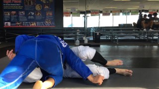 Mahamed Aly – Butterfly guard pass
