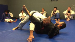 Open guard passing concepts