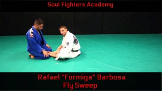Butterfly Guard and Sweep