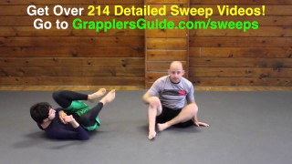 Super Easy Butterfly Guard Sweep