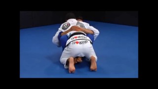 Cobrinha – Straight Armbar From Butterfly Guard