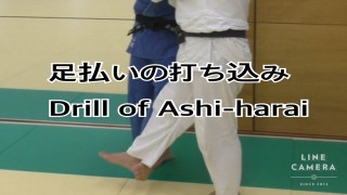 Great Partner Foot Sweep Drill – Judo