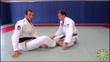 Turtle Guard Transitions and Recovery -Eduardo Telles