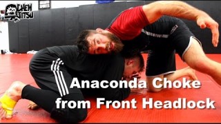 BJJ Arm Choke from Wrestling Style Position