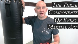 The 3 Components of Every Martial Art – Stephan Kesting