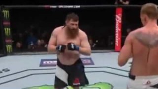 Alexander Volkov Vs Roy Nelson UFC on Fox