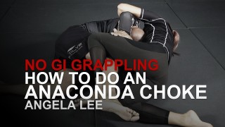 Angela Lee’s Anaconda Choke | Evolve University