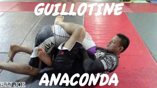 Guillotine Options: Guillotine to Anaconda to Mounted Guillotine -Rodrigo Kim