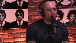 Joe Rogan Debates Which Is The Best Martial Art With A Scientist
