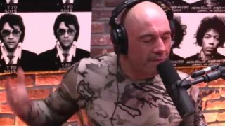 Joe Rogan Explains Why Rickson Gracie Was The Ultimate Fighter In Gracie Family