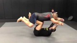 Fabricio Werdum Shows Us How to Get an Armbar from Butterfly Guard