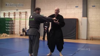 Ninjutsu kicks against MMA and Judo holds