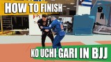 How to Finish Ko Uchi Gari (Foot Sweep) in BJJ