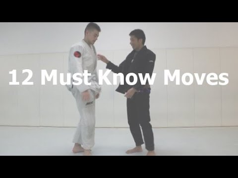 12 Must Know Techniques for White Belts