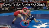 David Taylor Ankle Pick Study