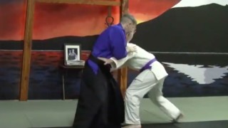 Aikido Master Develops System Against Takedowns