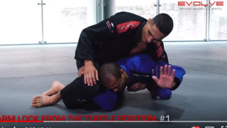 4 Arm Locks From The Turtle Position | Evolve