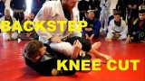 Backstep Knee Cut Pass with lots of Key Details