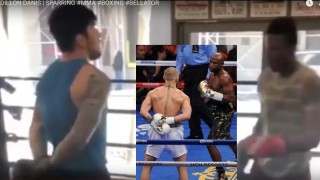 Dillon Danis Imitating McGregor While Boxing Training