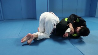 Easy way to make your opponent expose his arms in turtle + inverted armbar
