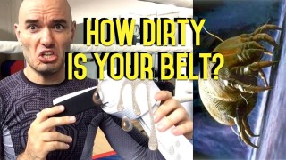 Wash your BJJ Belt you filthy animals!