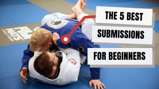 Best Submissions for Beginner Jiu Jitsu Students- Travis Stevens