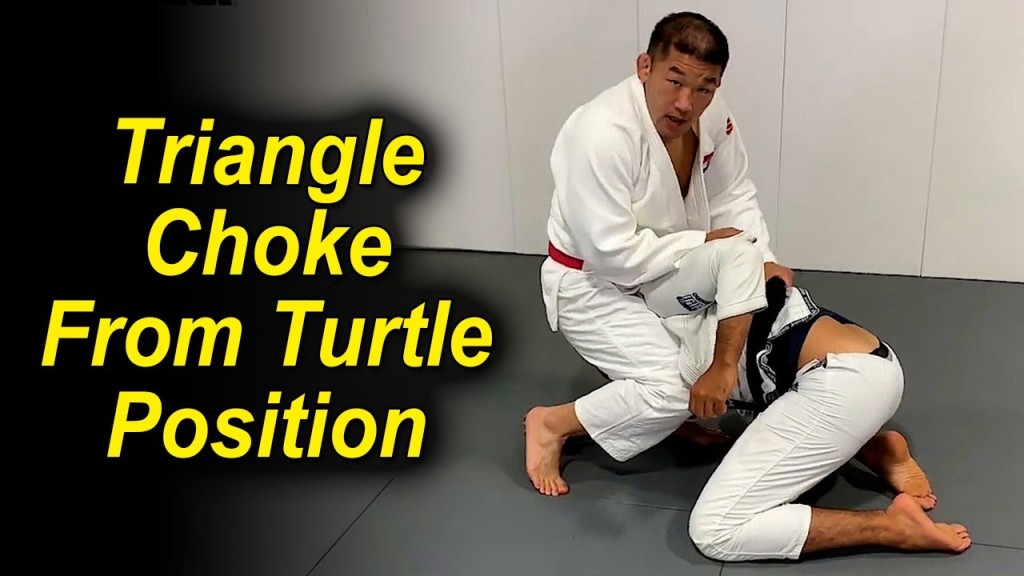 Surprising Judo Triangle Choke From The Turtle Position By Satoshi