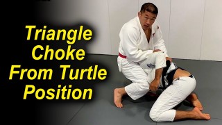 Surprising Judo Triangle Choke From The Turtle Position by Satoshi Ishii