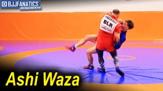 Ashi Waza Technique by Andrei Kazusenok