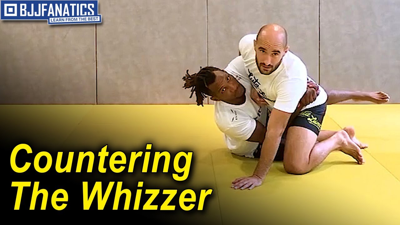 Countering the Whizzer by Mansour Barnaoui