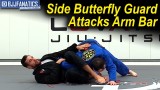Side Butterfly Guard Attacks Arm Bar by Rafael Lovato Jr.
